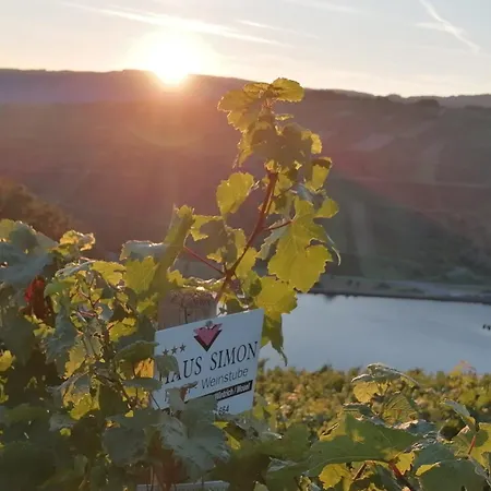 - Eg Mosel- & Weinquartier, Terrasse, Parkplatz, Moderne Kueche Bis 4 Personen 아파트