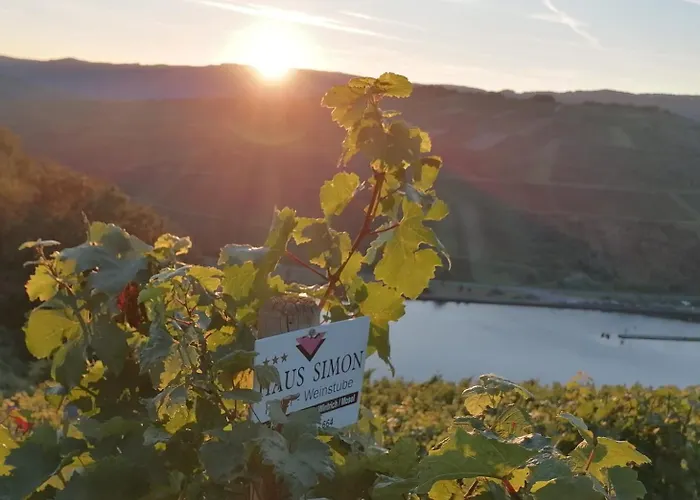 - Eg Mosel- & Weinquartier, Terrasse, Parkplatz, Moderne Kueche Bis 4 Personen 公寓