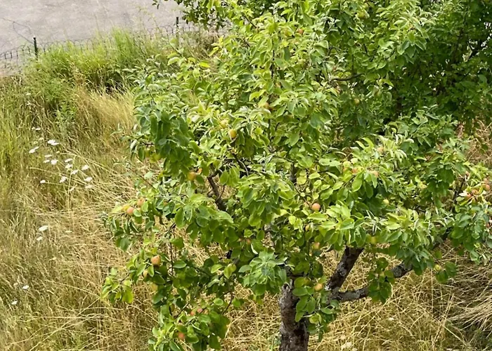 - Eg Mosel- & Weinquartier, Terrasse, Parkplatz, Moderne Kueche Bis 4 Personen 公寓 *